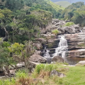 20190502_105442 - Copia (2) - Copia