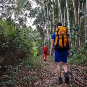 20190503_153144 - Copia - Copia - Copia