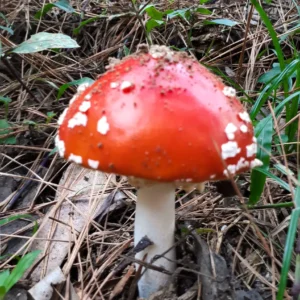 20190503_154426 - Copia (2) - Copia