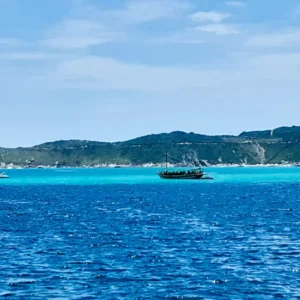 AA478F4C-C881-4440-AB96-161FD6C6A8FF