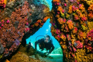 Scuba Diving in Rio de Janeiro