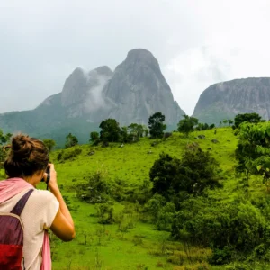 Copy-of-alice_107 - Copia (2) - Copia