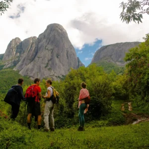 Copy-of-alice_118 - Copia - Copia