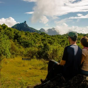 Copy-of-alice_128 - Copia (2) - Copia