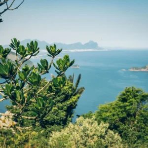 HEY_BRO_20181214_RIO_PHBR1732_HD