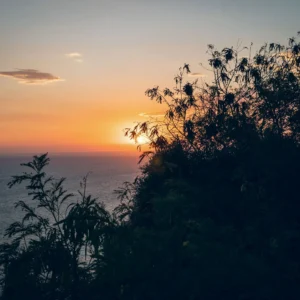 HEY_BRO_20181214_RIO_PHBR1875_HD