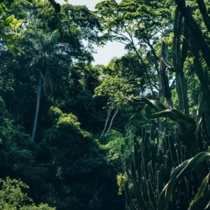 HEY_BRO_20181216_RIO_PHBR2009_SD