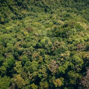 HEY_BRO_20181223_RIO_DJI_0863_HD