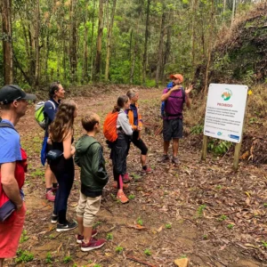 IMG_5520 - Copia - Copia