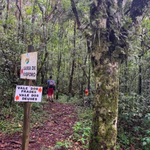 IMG_5541 - Copia - Copia